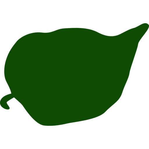 cropped-favicon.png