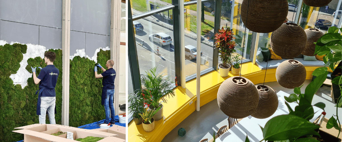 Groene voornemens moswand muurdecoratie groene leeromgeving groen op kantoor
