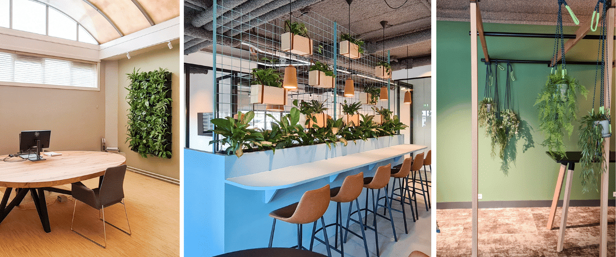 Groene voornemens plantenwand roomdivider en hangschalen op kantoor