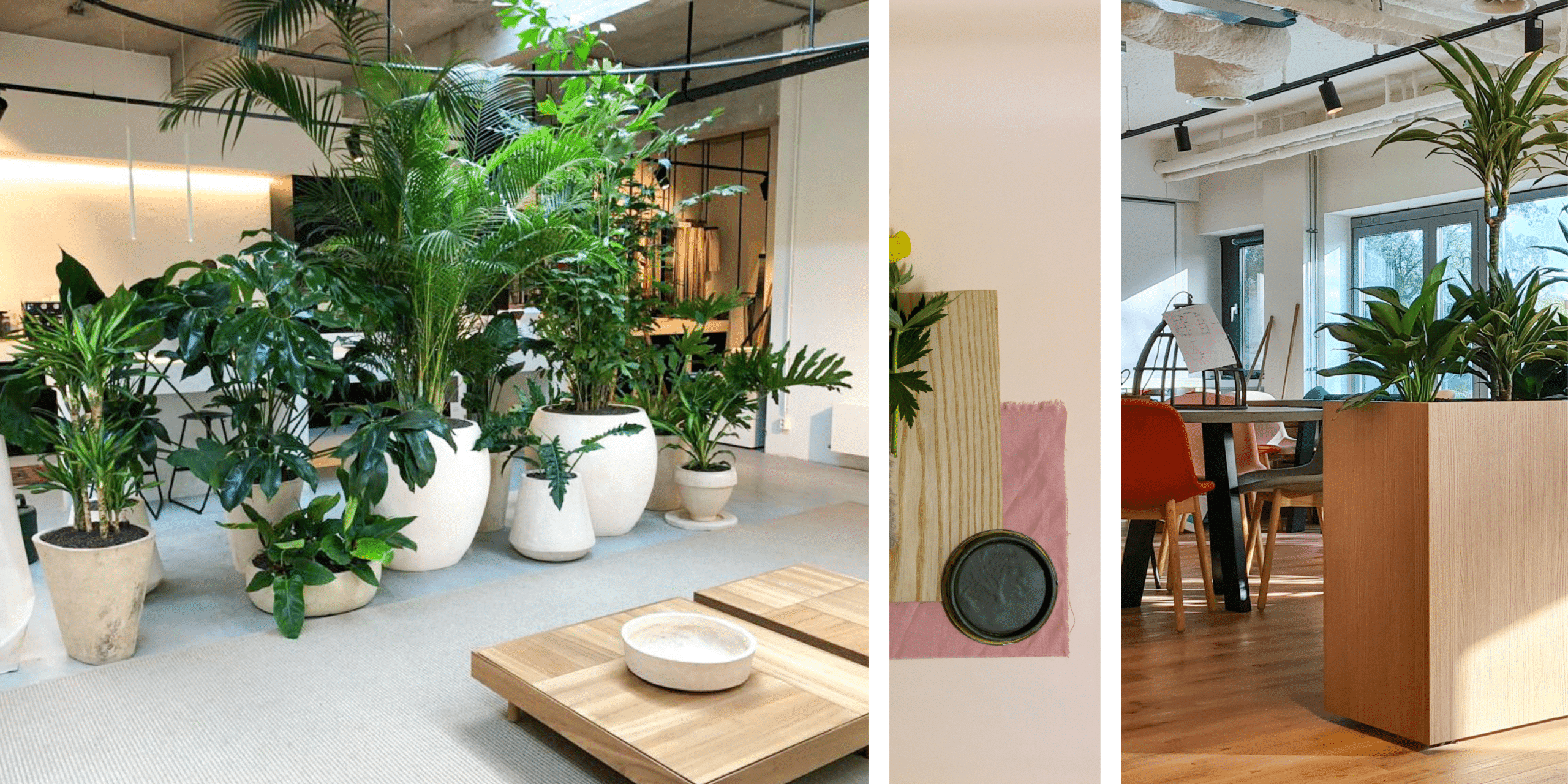 Kantoortrends diversiteit en inclusiviteit plant in pot roomdivider