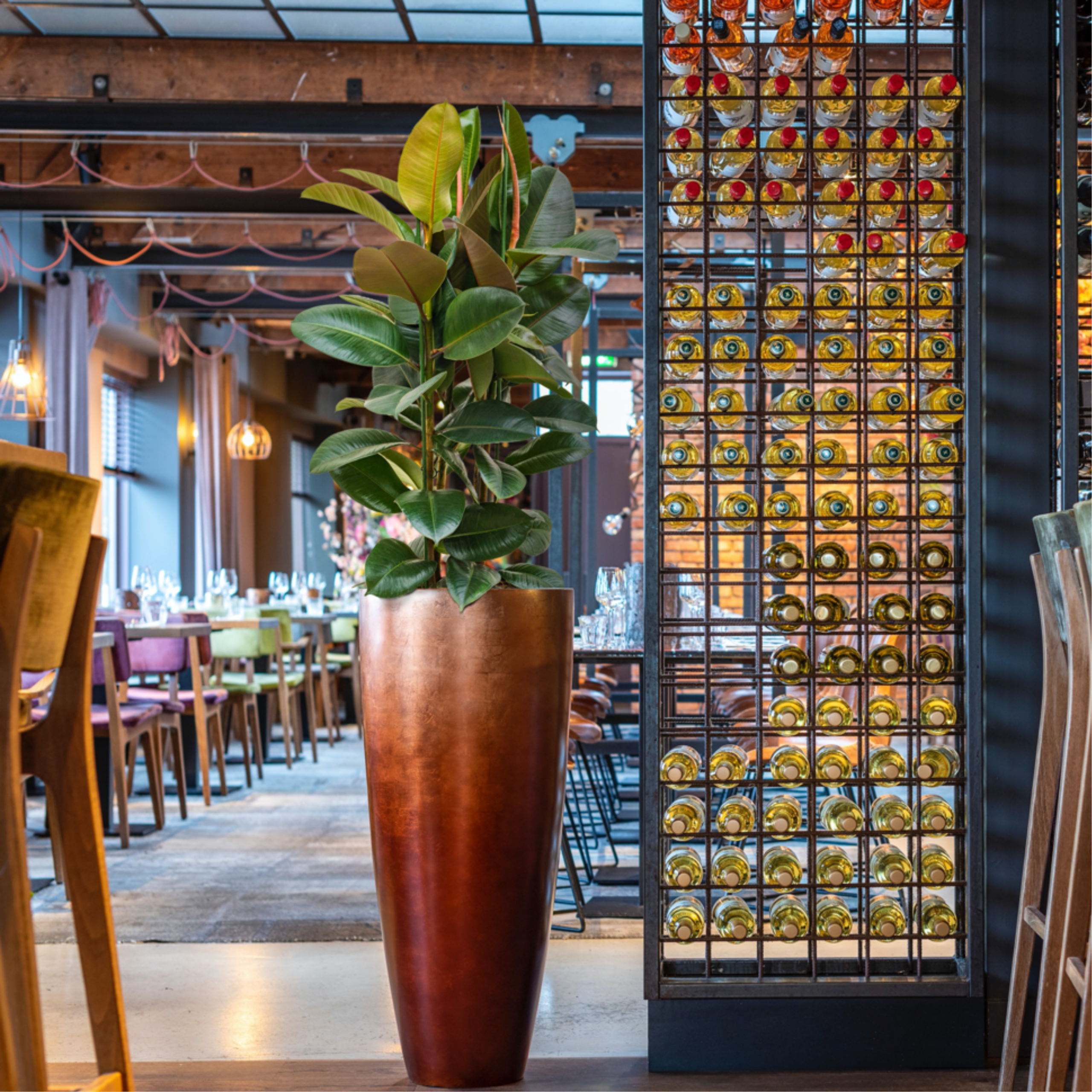 Retro stijl restaurant trends 2025