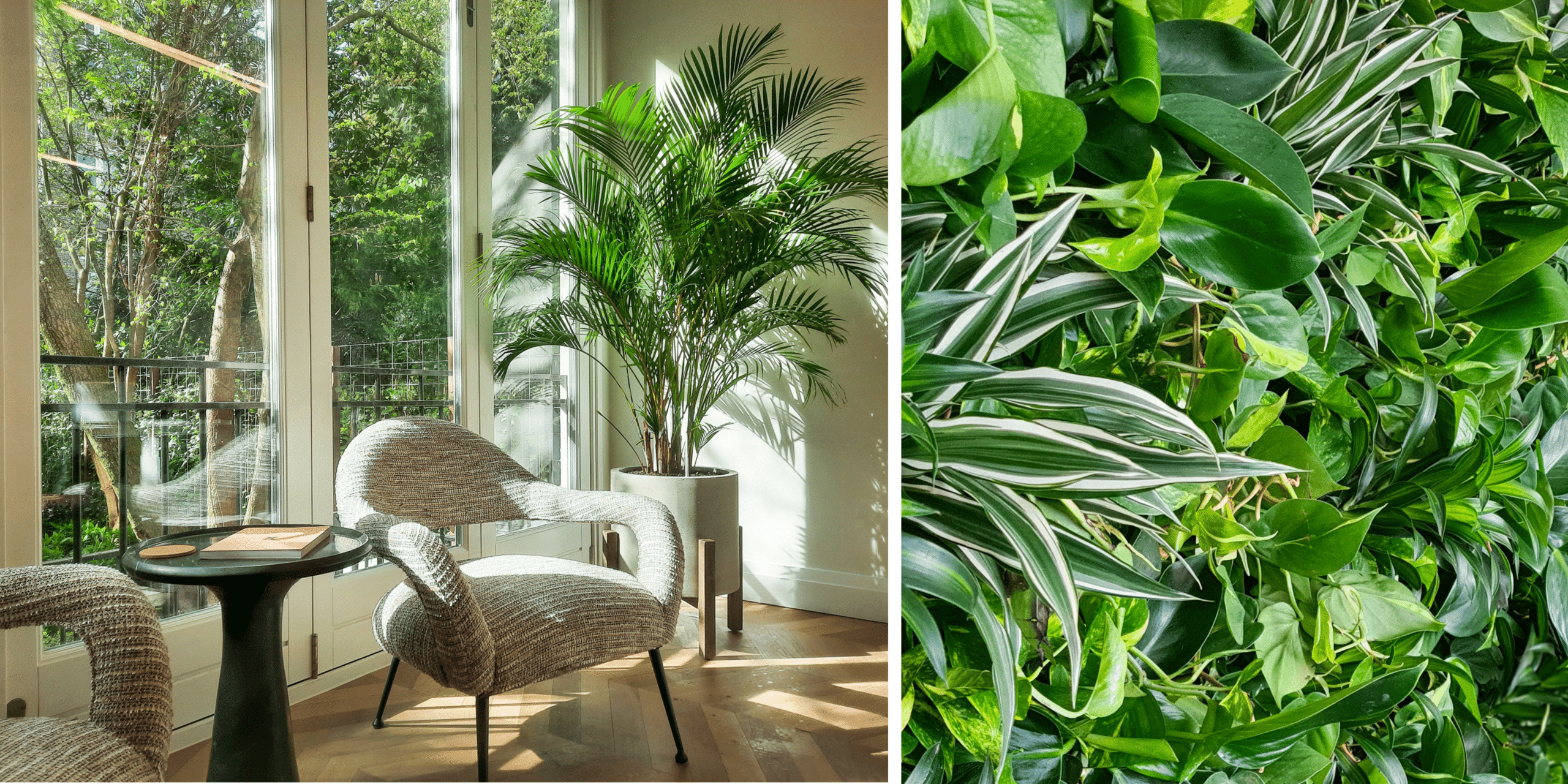 kantoortrends 2024 haal groen naar binnen - plantenwand interieurbeplanting plant en pot