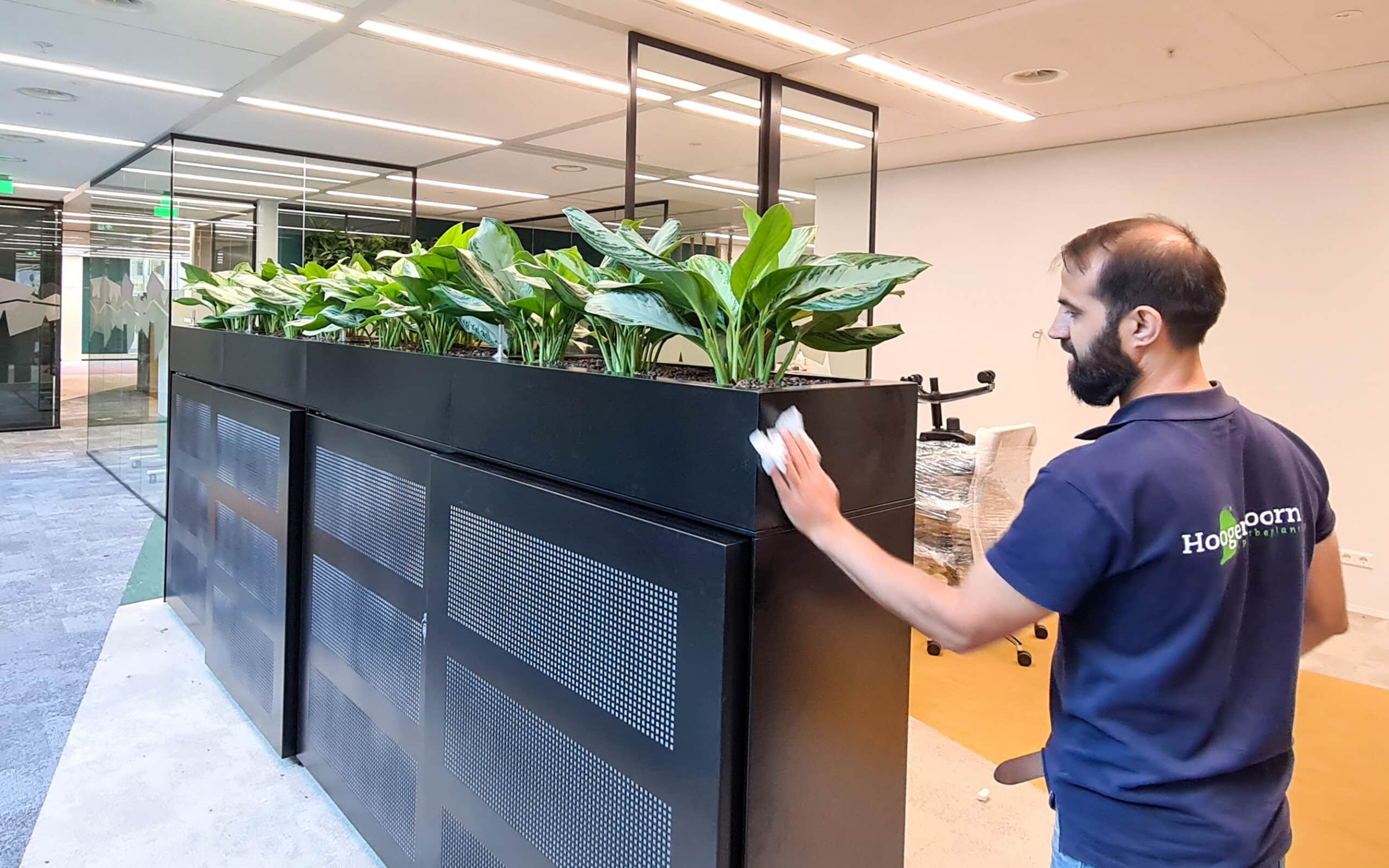 Onderhoud interieurbeplanting roomdivider bij GIMEG