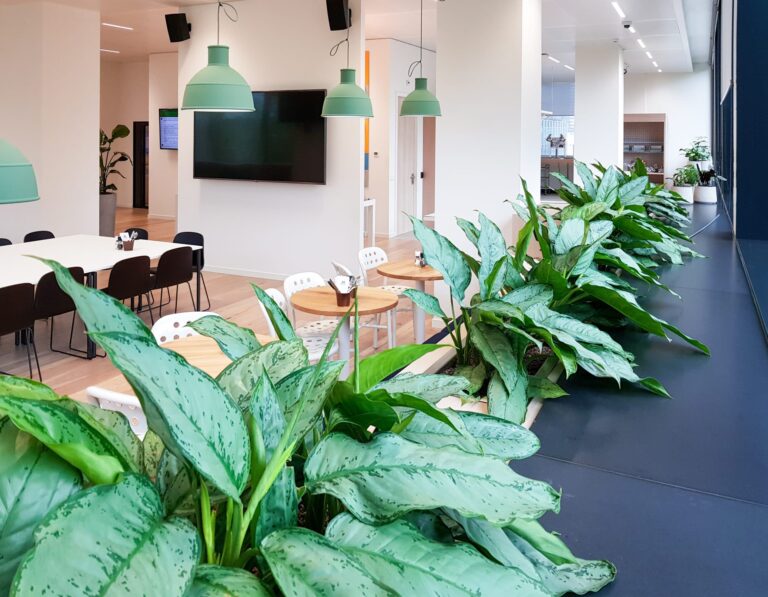 Gezond groene kantine met planten