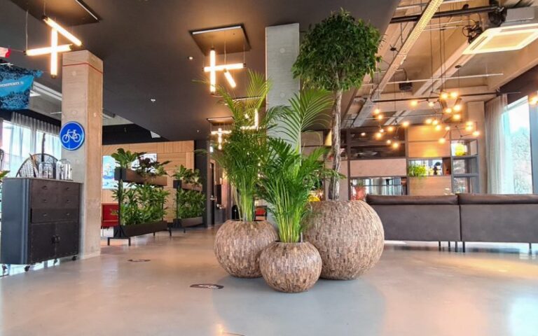 Indrukwekkend groen bij hotel