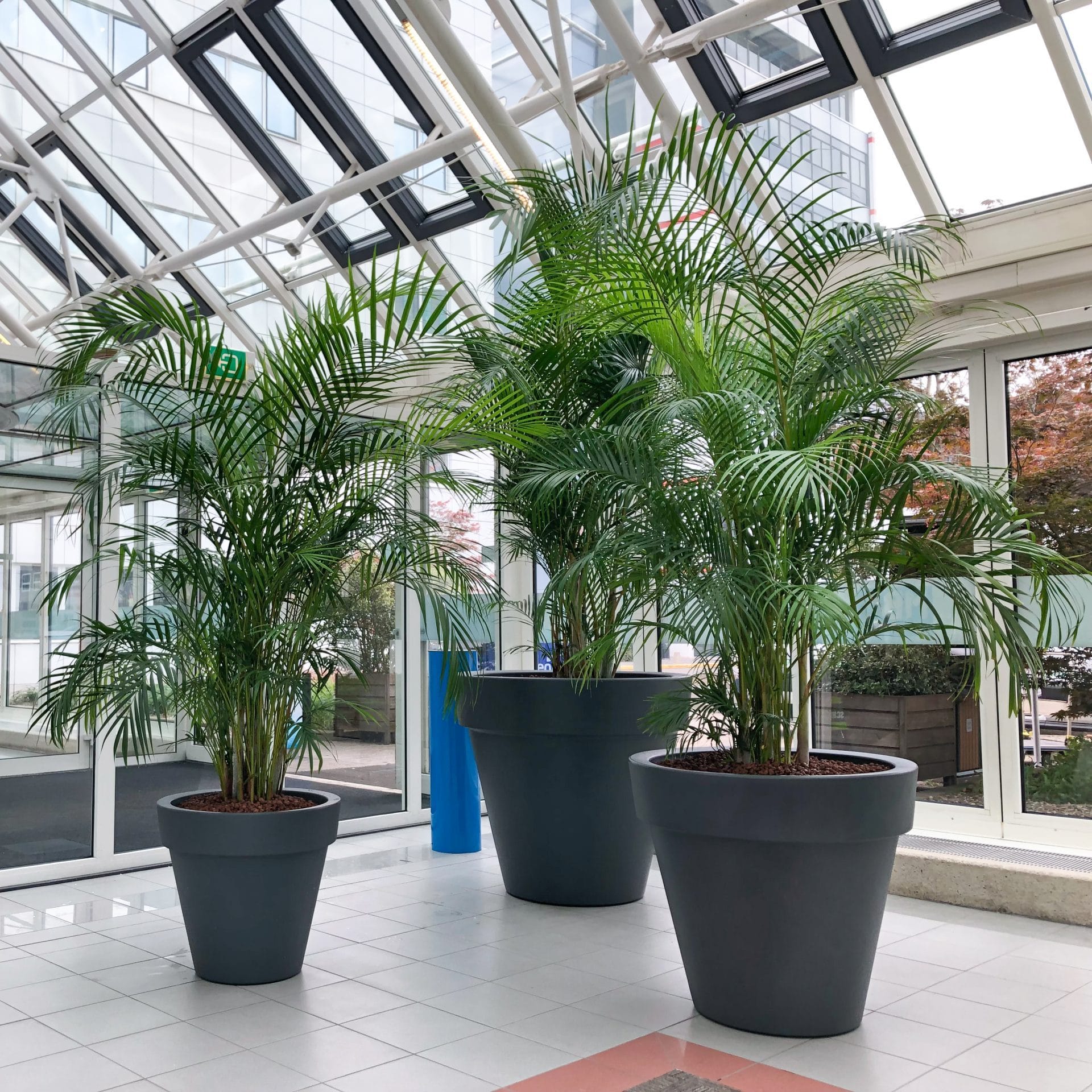 MBO Utrecht Daltonlaan