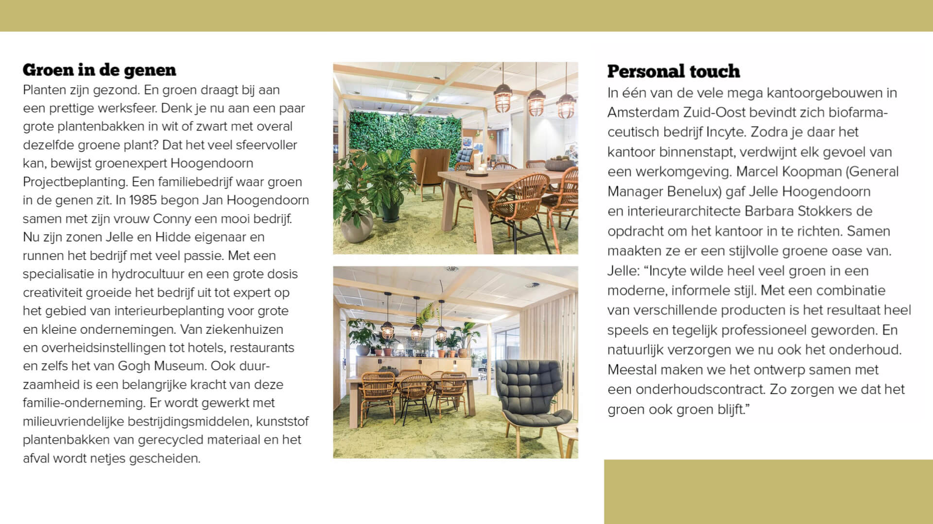 Hoogendoorn Projectbeplanting in interieur magazine