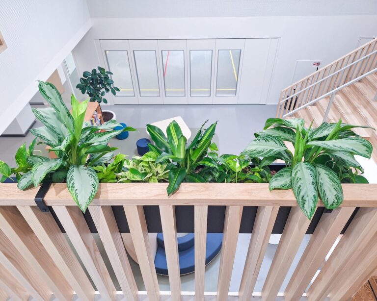 Interieurbeplanting onderwijs gezond leren