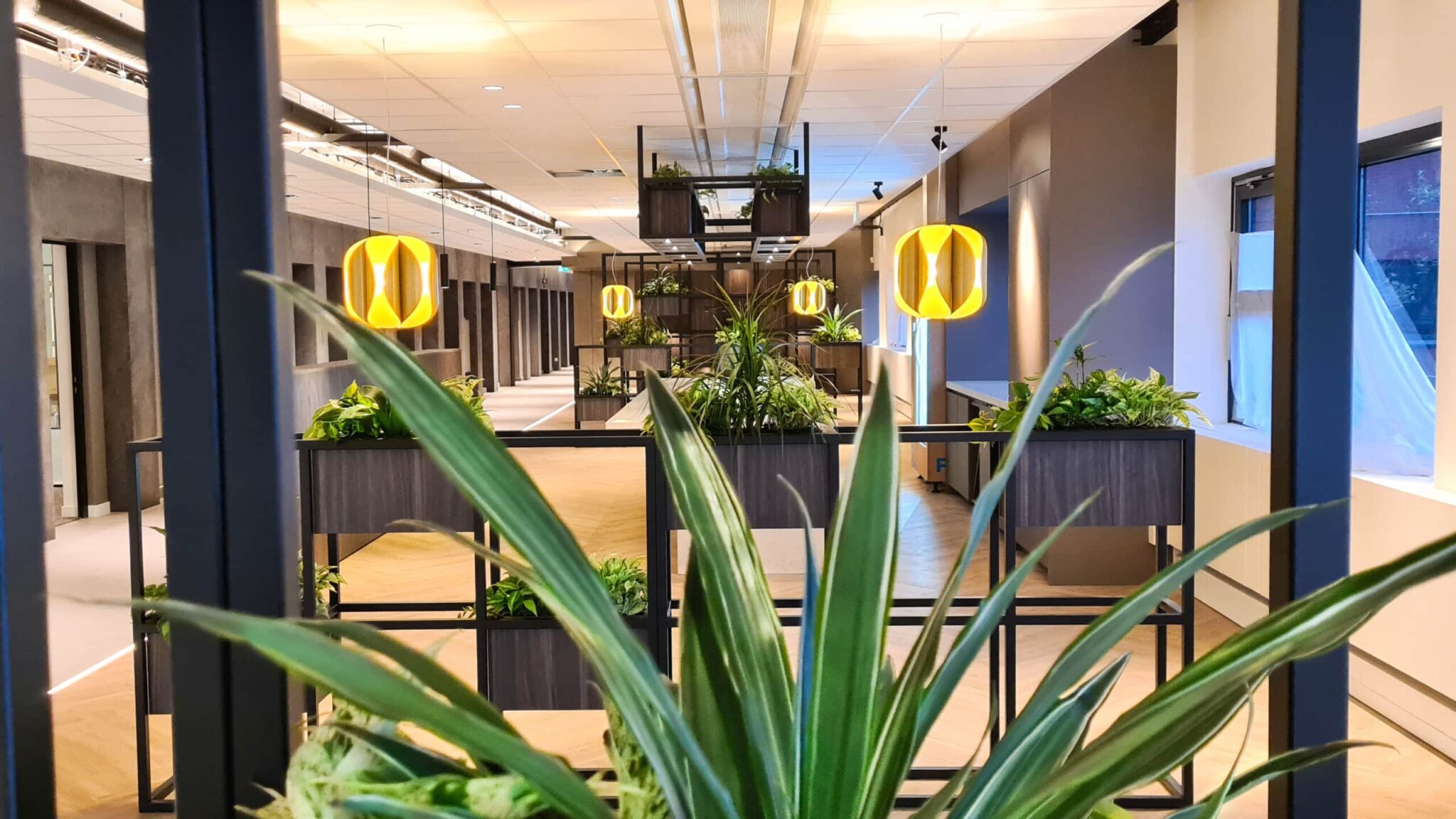 RGF Staffing maatwerk roomdividers