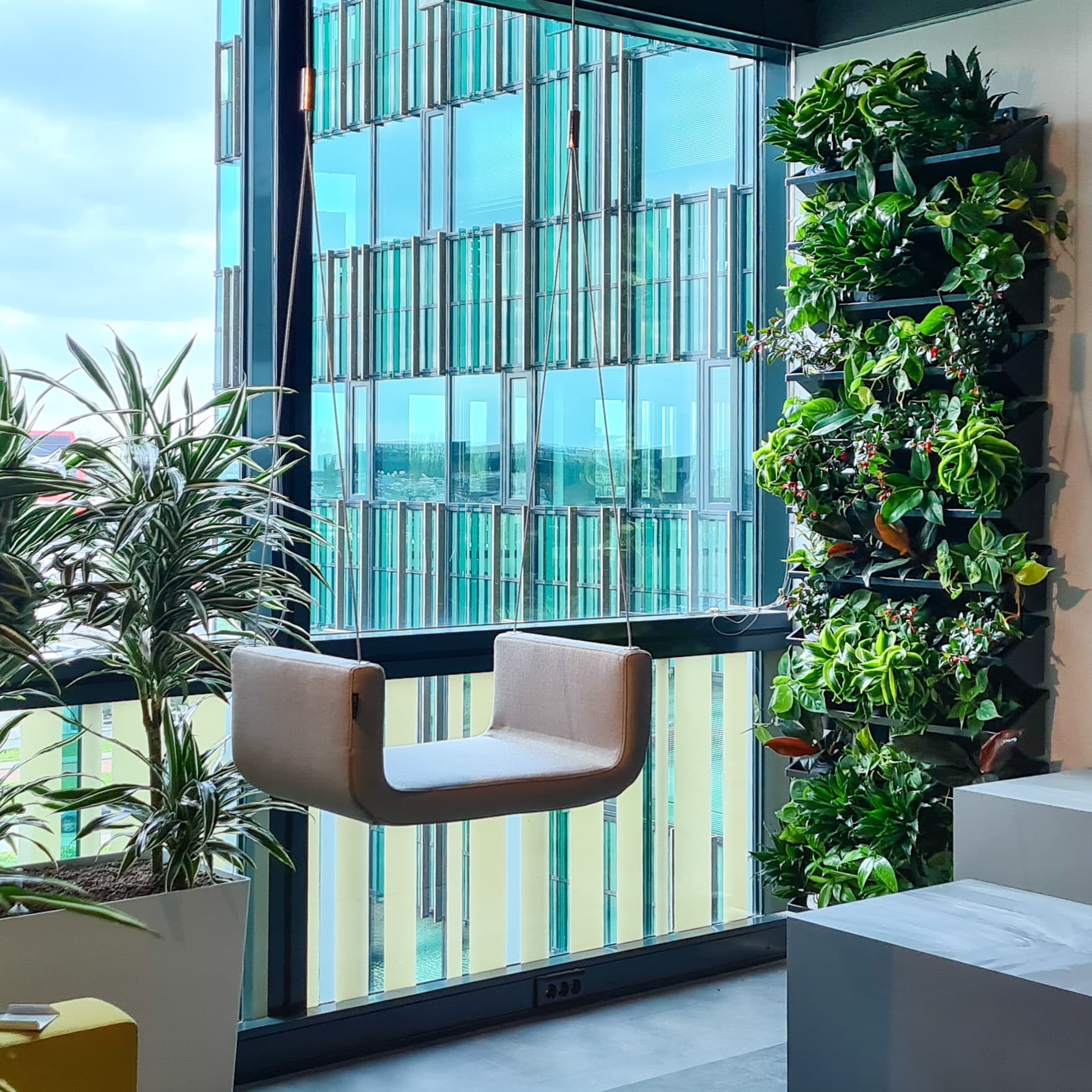 Dracaena in Rise planter wit en nextgen groene wand bij Align Technology (2)