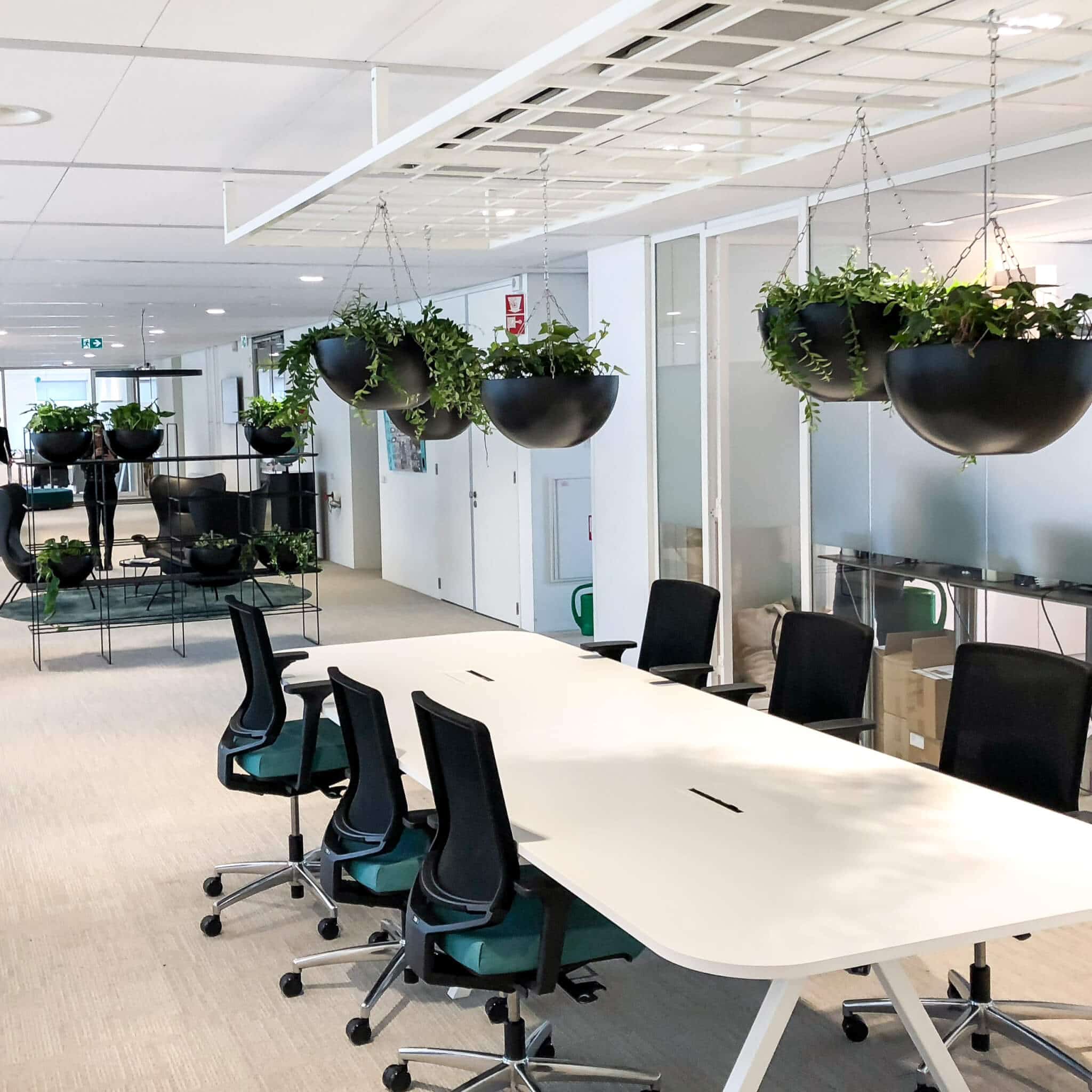 Zwarte hangbakken met planten bij Horlings