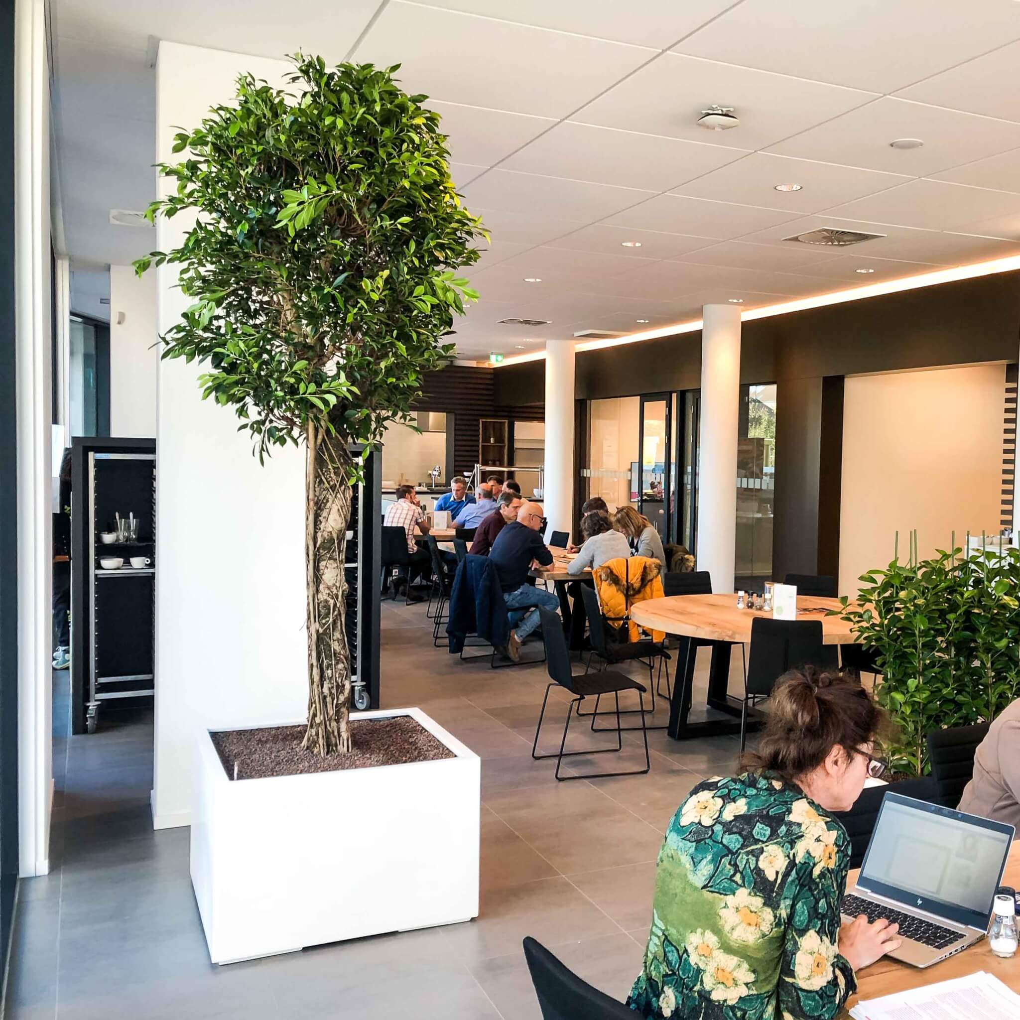 Interieurbeplanting voor gemeente Leusden