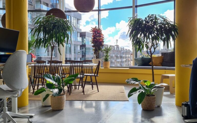 Interieurbeplanting op kantoor Bankzitters