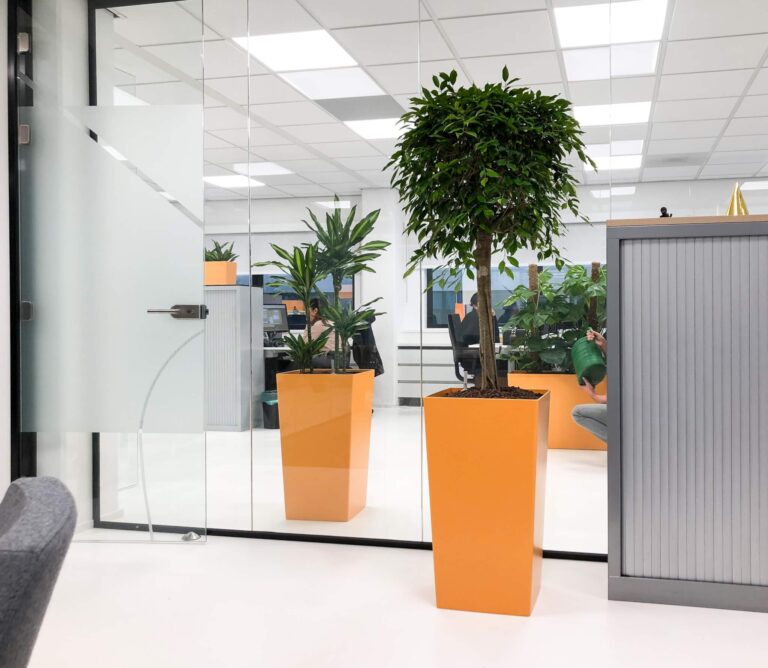 Hydrocultuur Amsterdam