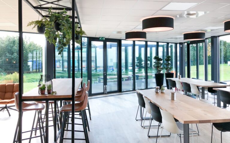 kantoorbeplanting zwarte lava plantenbak met ficus en hangplanten groene werkplek