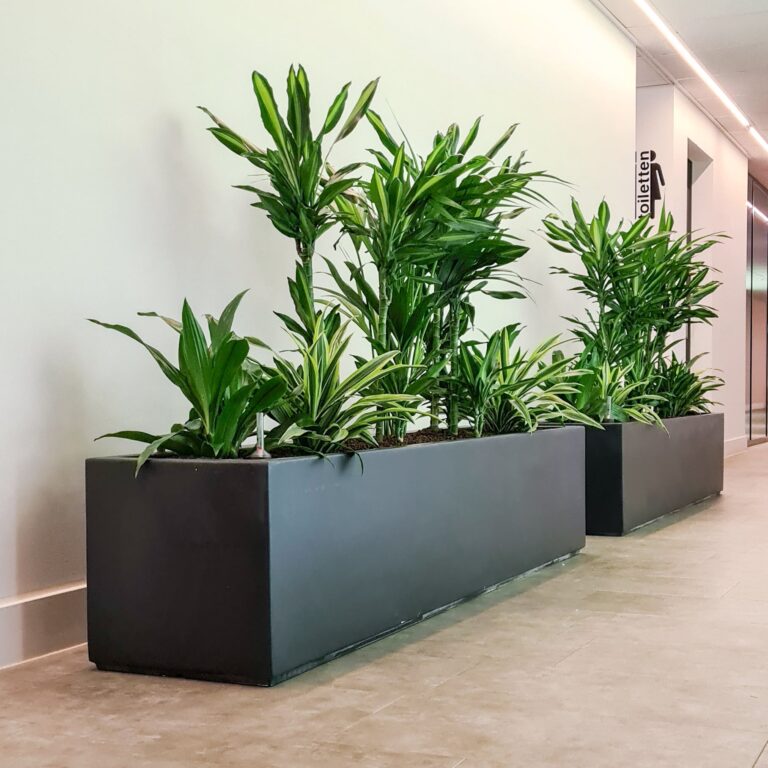 Gevarieerde beplanting in Carrez bij Human Factor kantoor