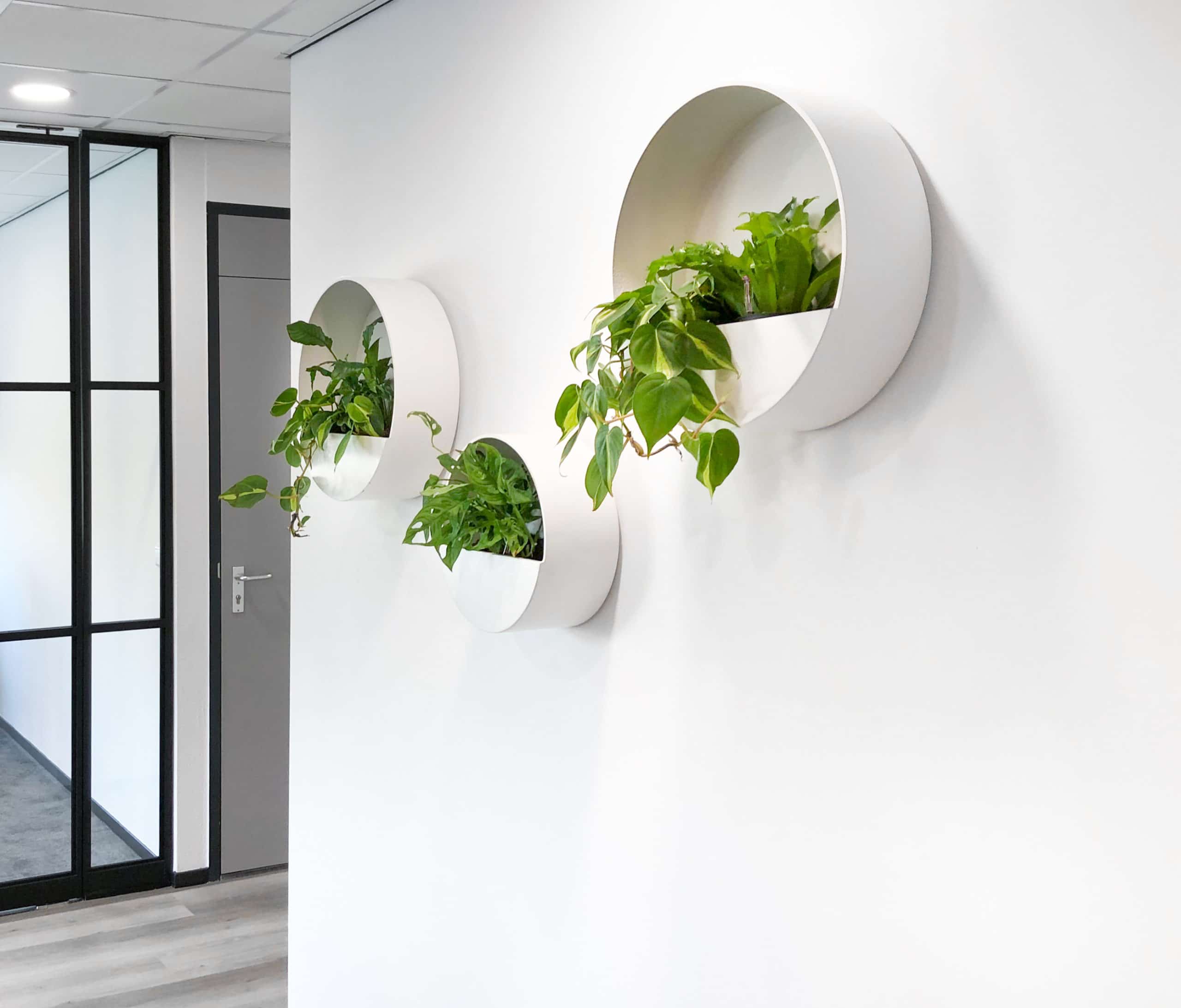 Ronde wall planter