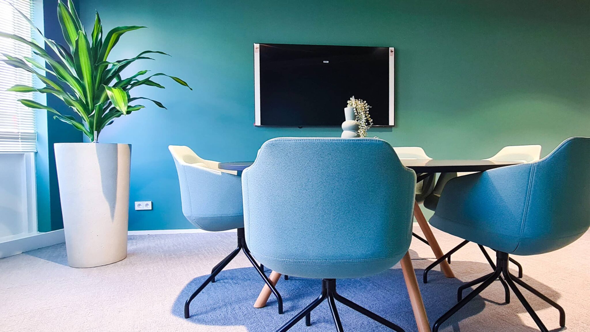 Groen katoor Burley interieurbeplanting