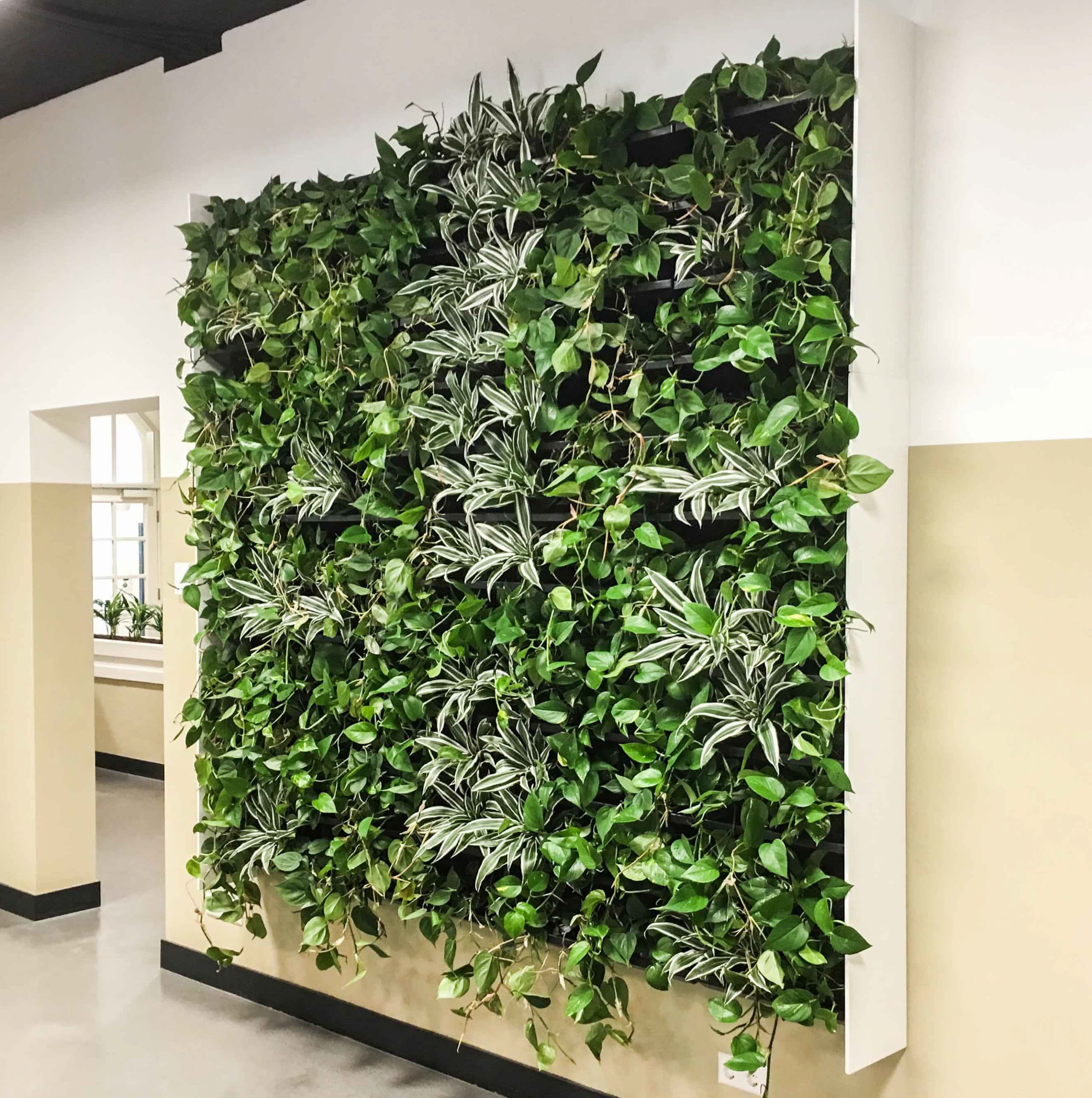 NextGen groene wand