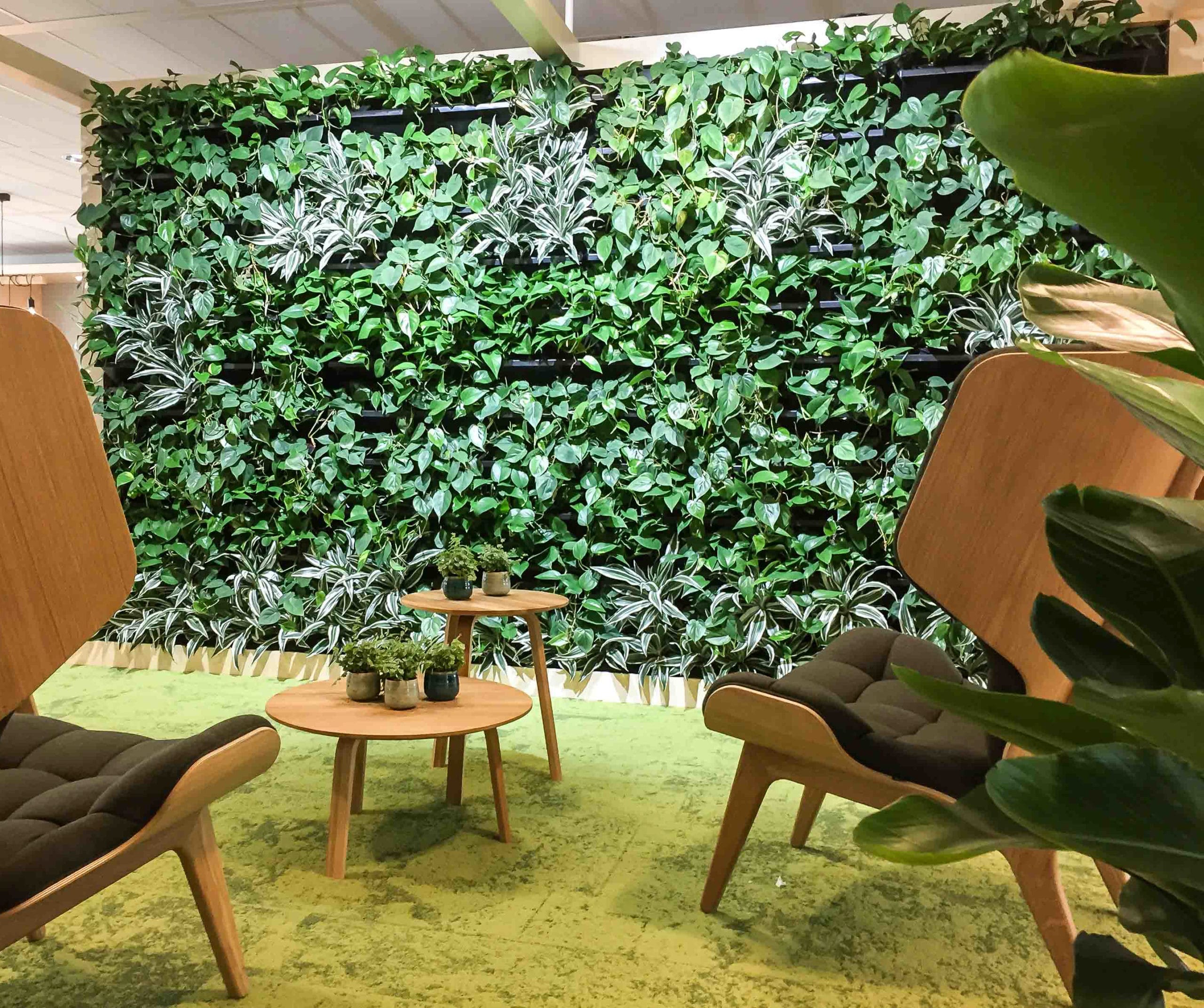 Living wall