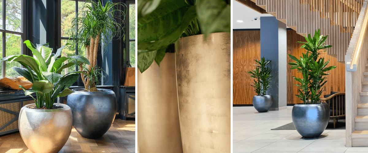 HP - hotel chic plantenbakken