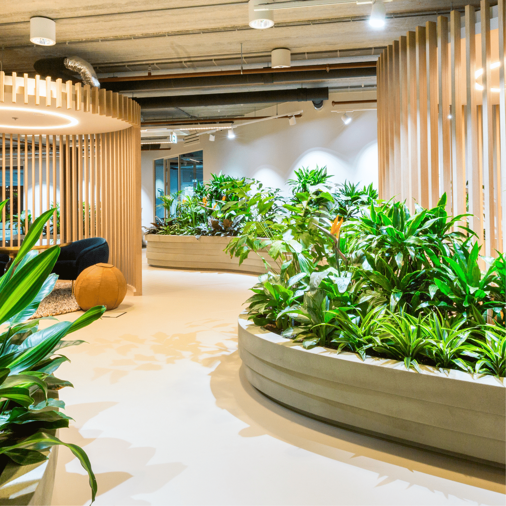 Interieurbeplanting kantoor IG&H