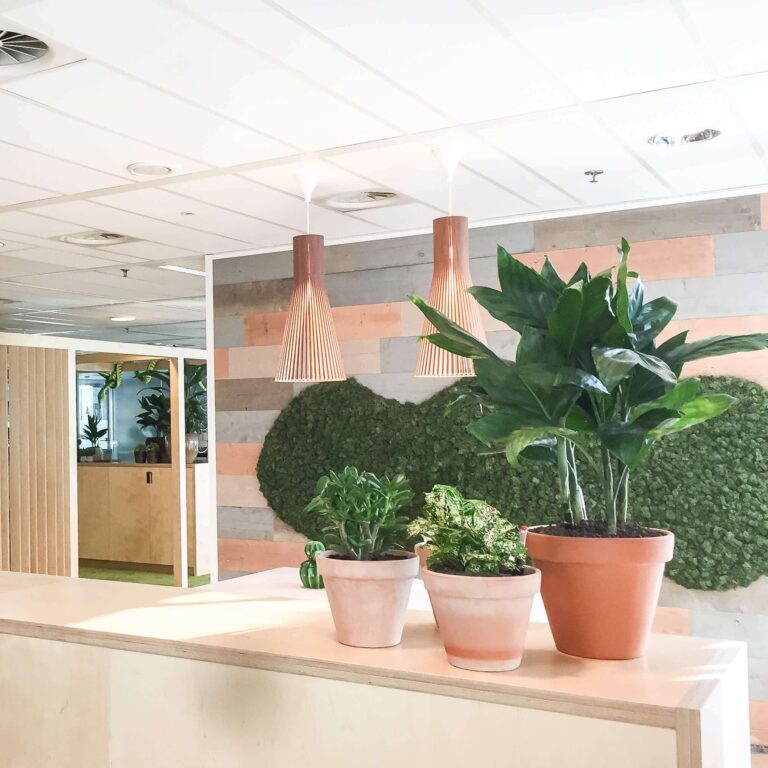 Kantoorplanten Amsterdam