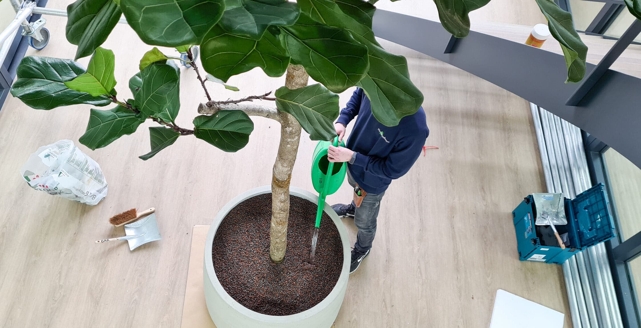 Onderhoud kantoorbeplanting