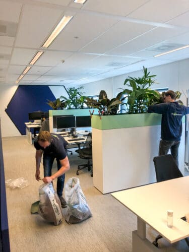 Roomdivider beplanten