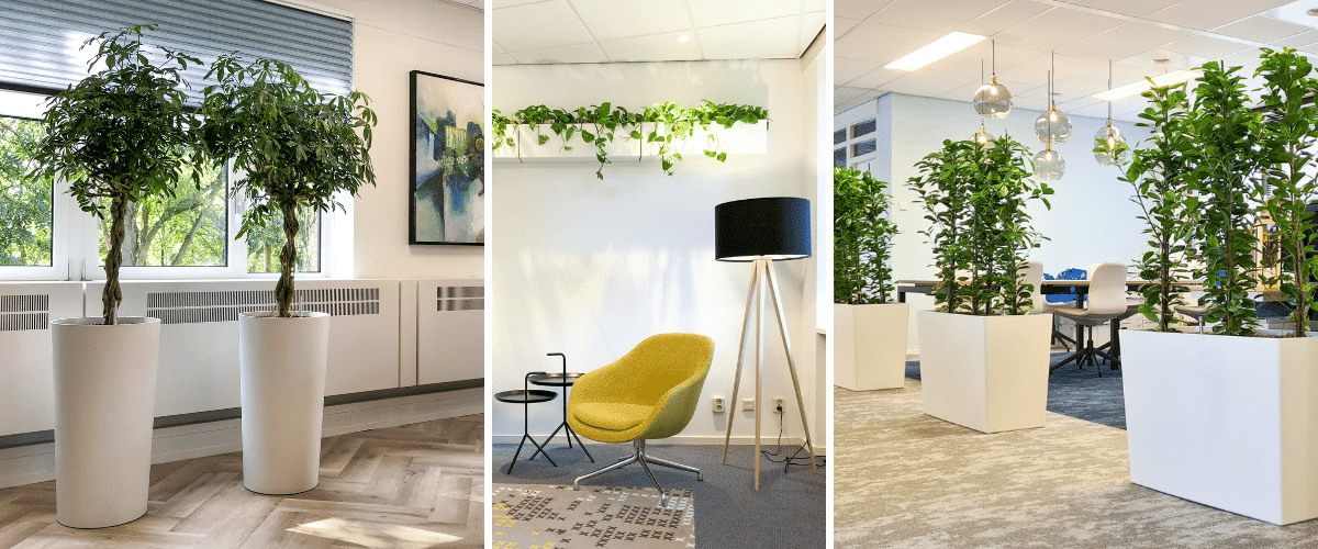 Modern Hoogendoorn Projectbeplanting