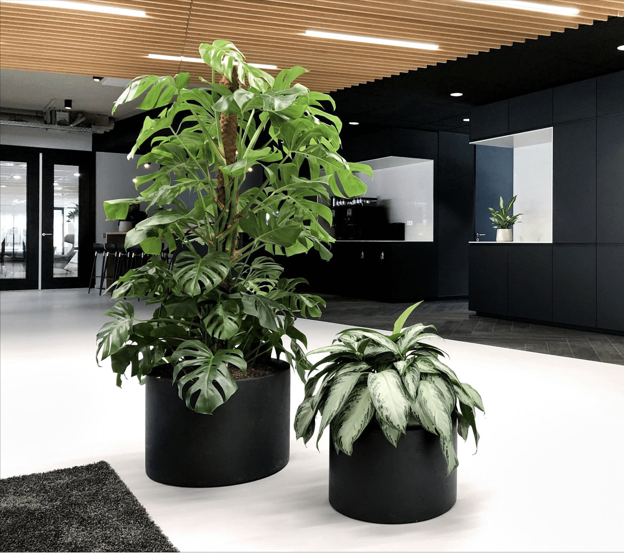 Financial Lease
