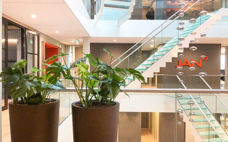 Monstera hydro op kantoor
