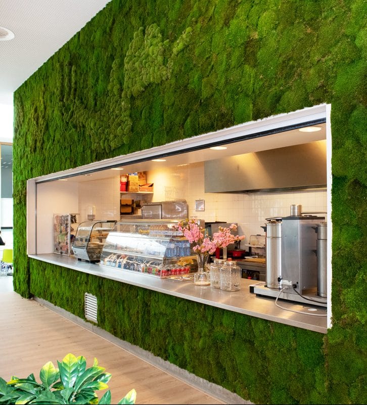 Grote moswand in kantine