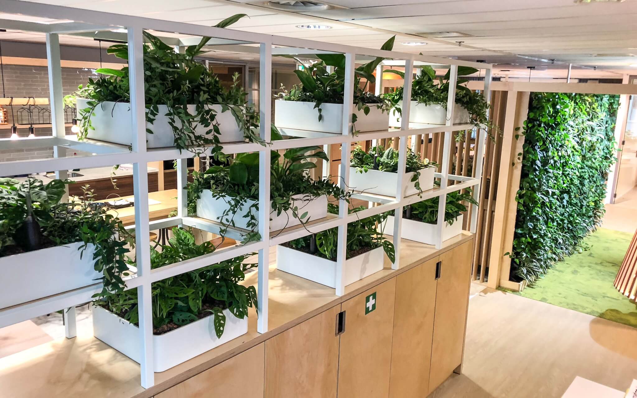 Plantenwand Amsterdam