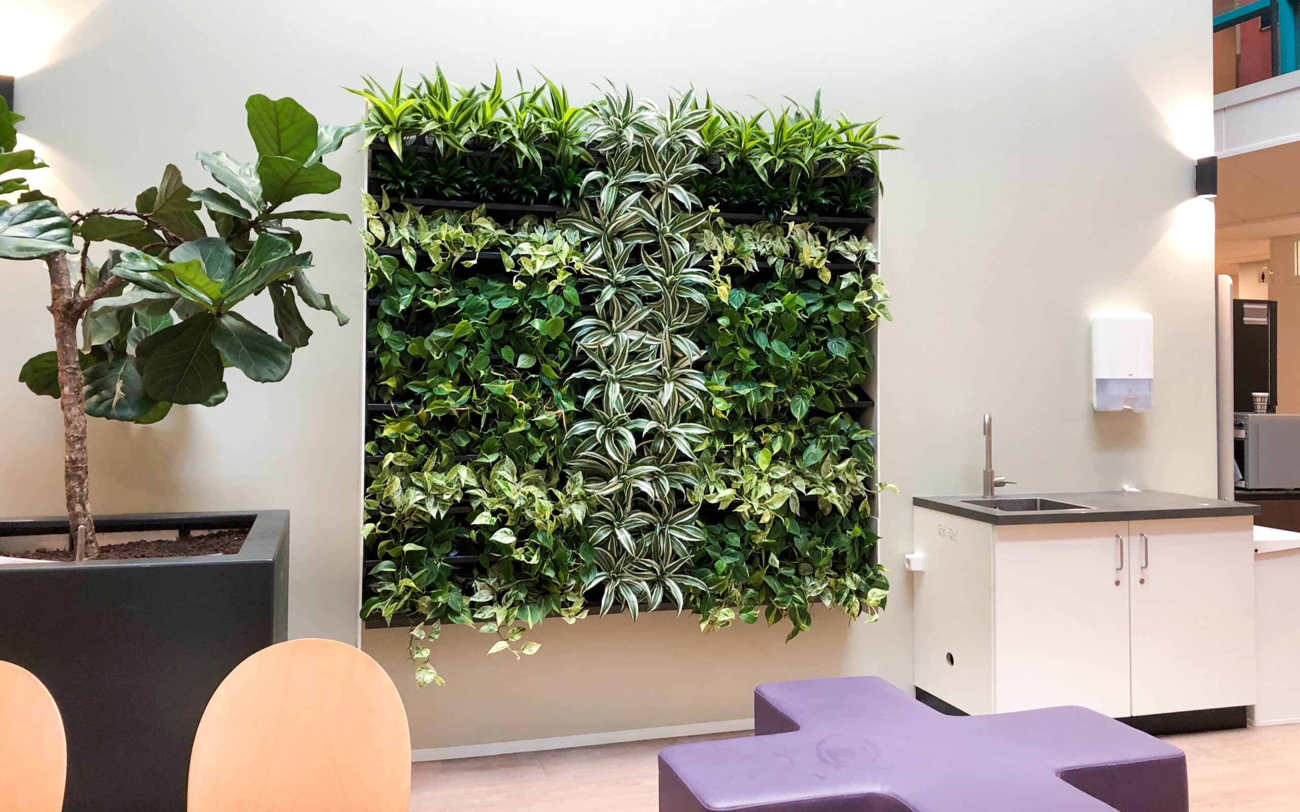 Nextgen groene wand bij Arkin Domselaer