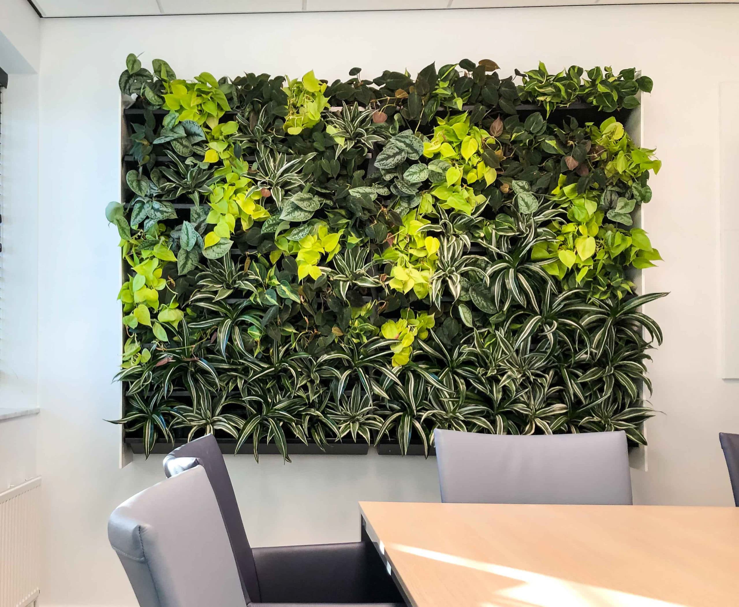 Schilderij met planten