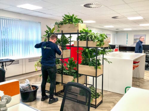Onderhoud van interieurbeplanting
