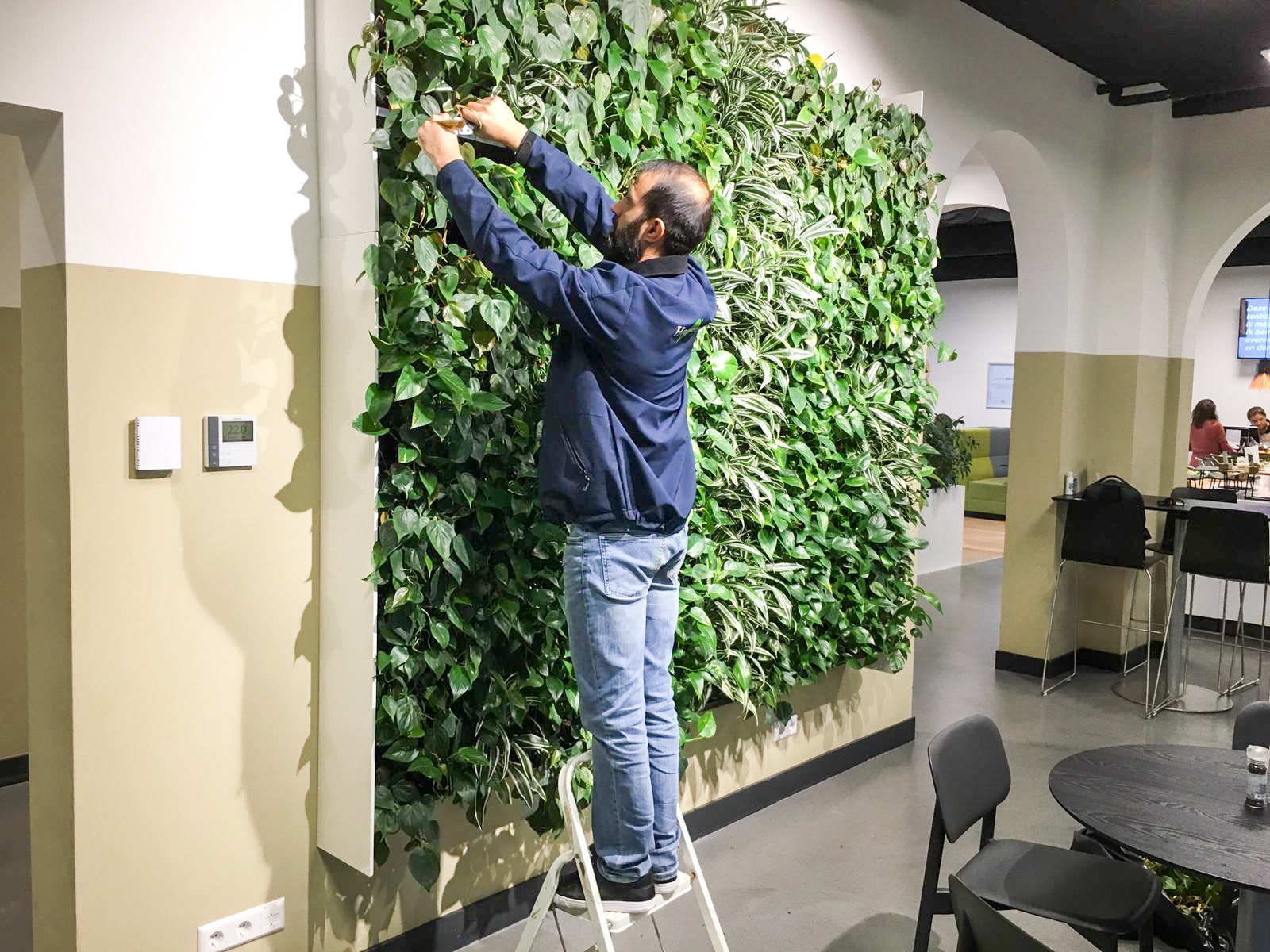 Onderhoud plantenwand
