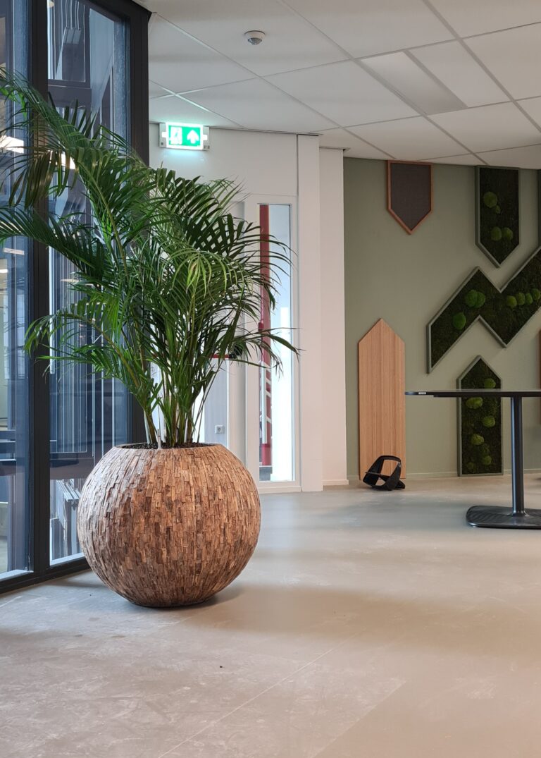 Palm en moswand bij de Sleutels interieurbeplanting decoratie