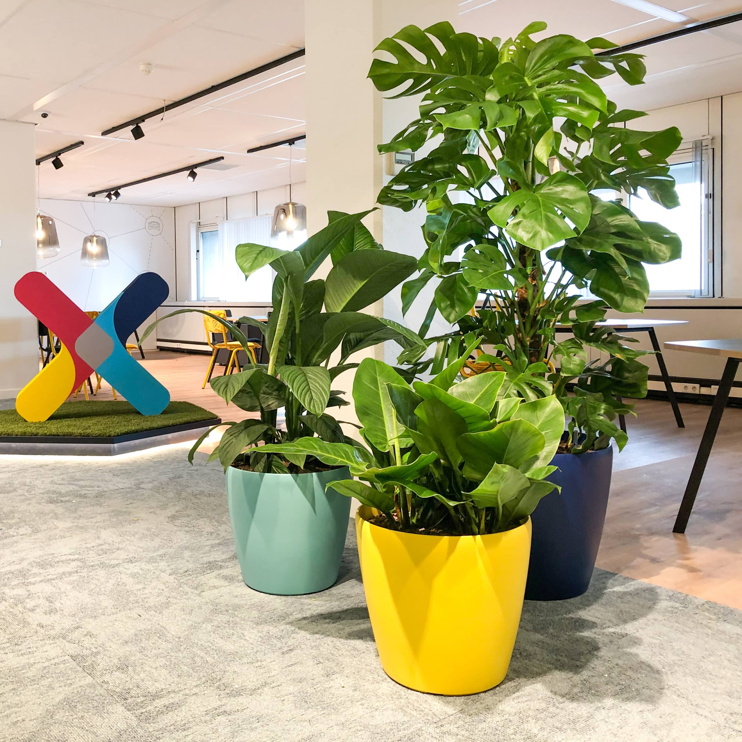 Innovatieven: creatief, kleur en natuur