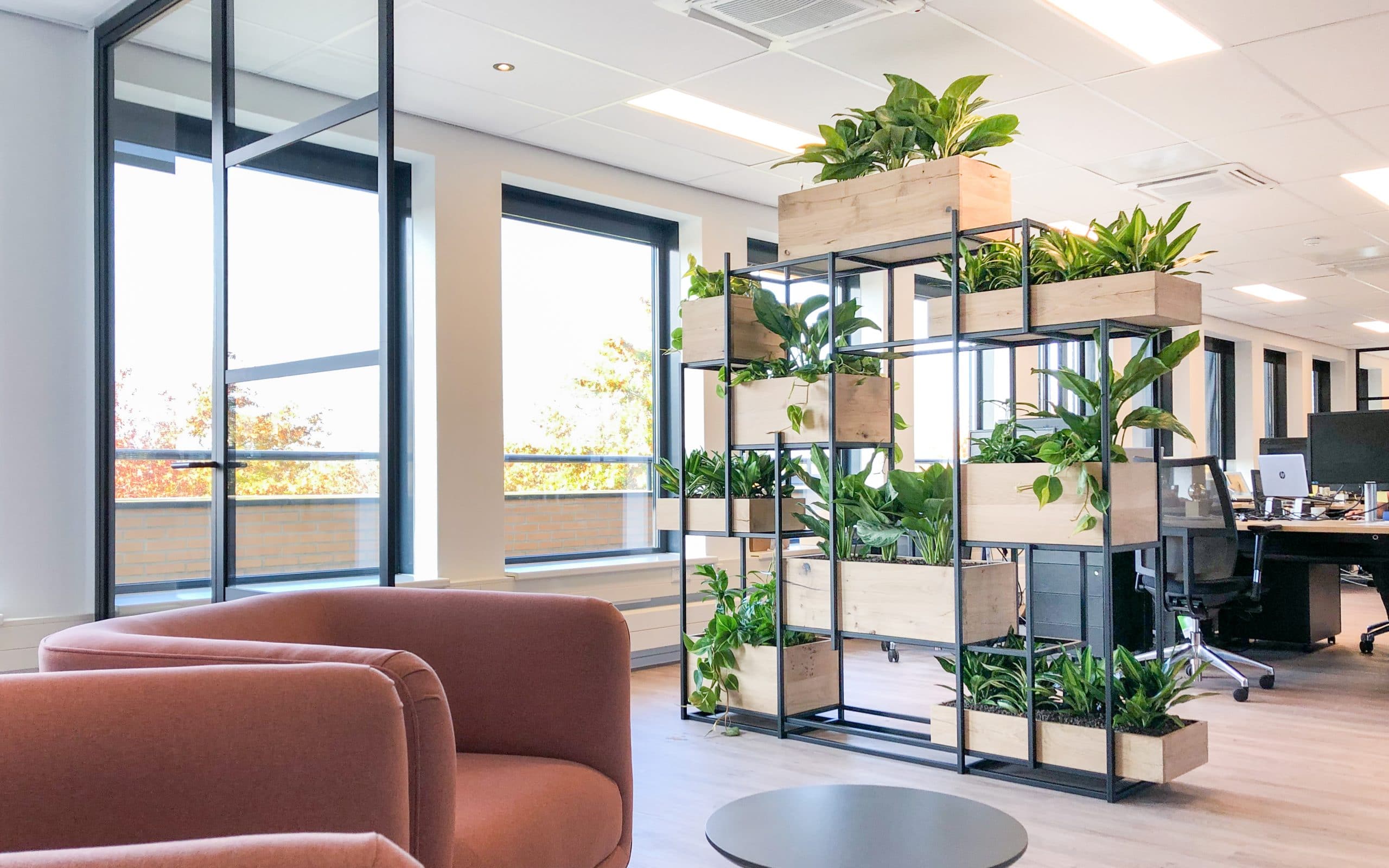 Kast met planten