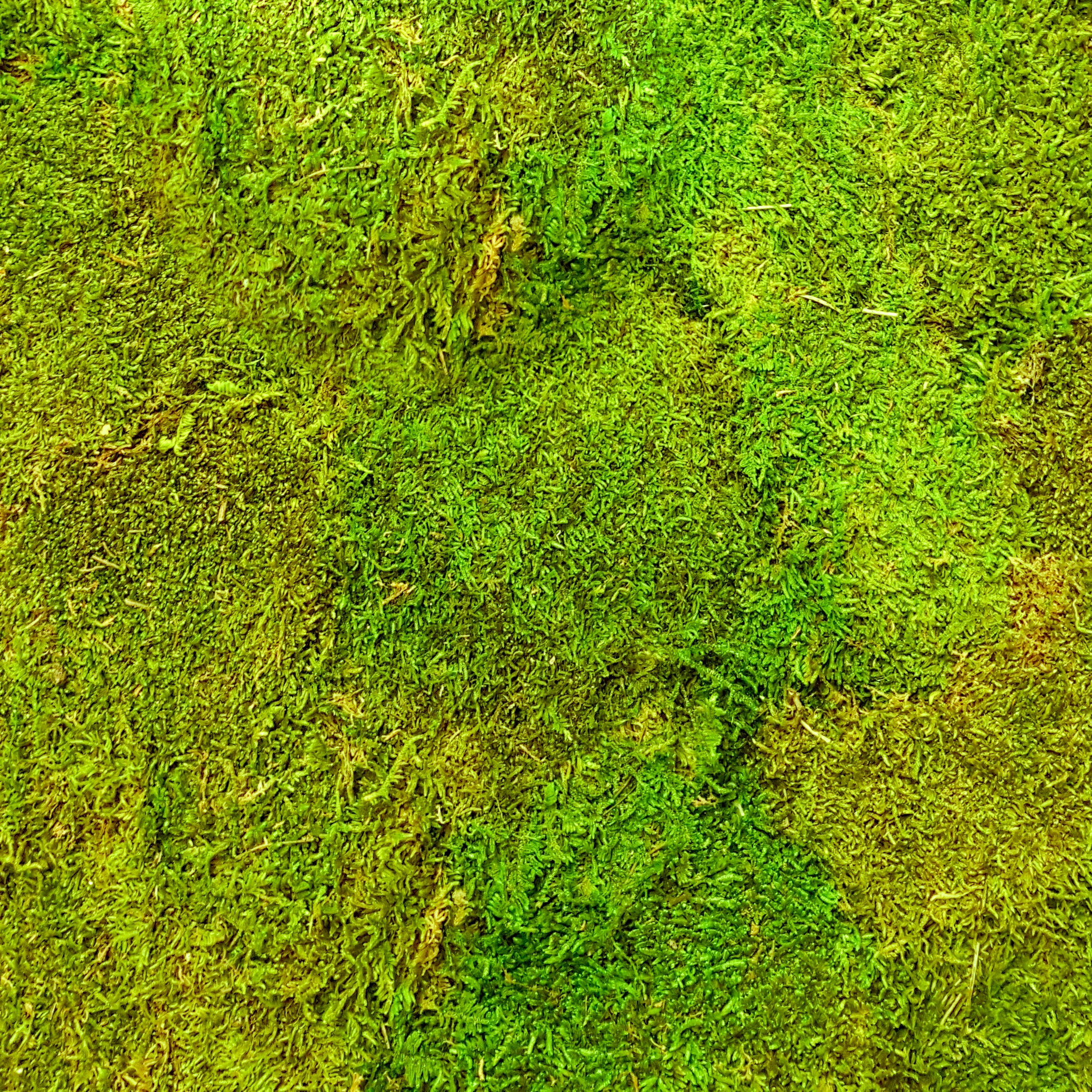 Platmos detail