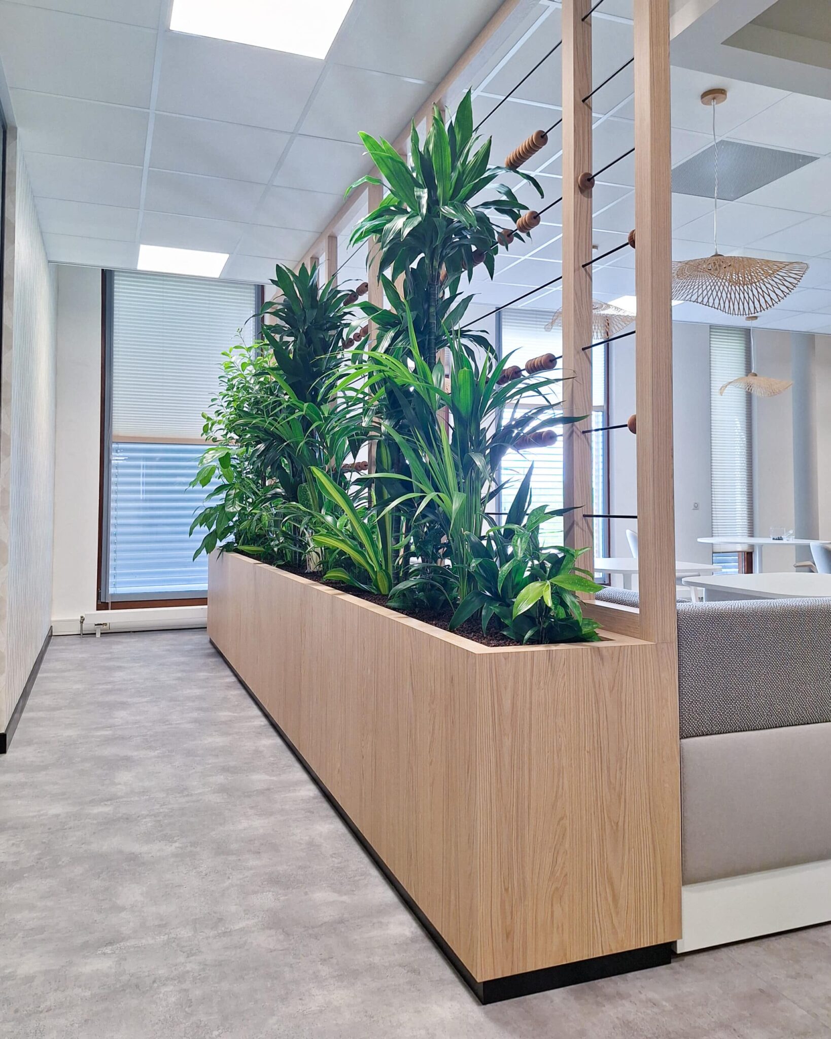 Roomdivider diverse beplanting streefkerk onderwijsrecht