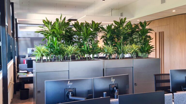 Planten in plantenbak als roomdivider op kantoor bij H&L Advocaten