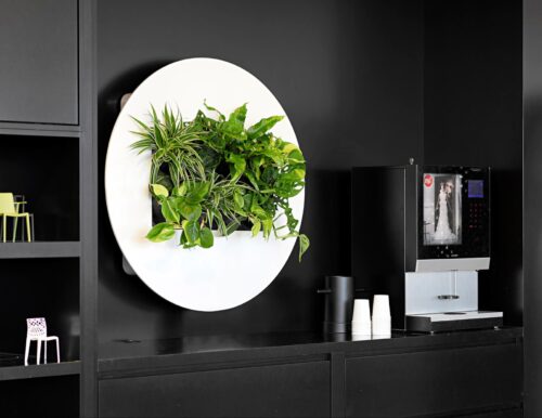 Schilderij met planten