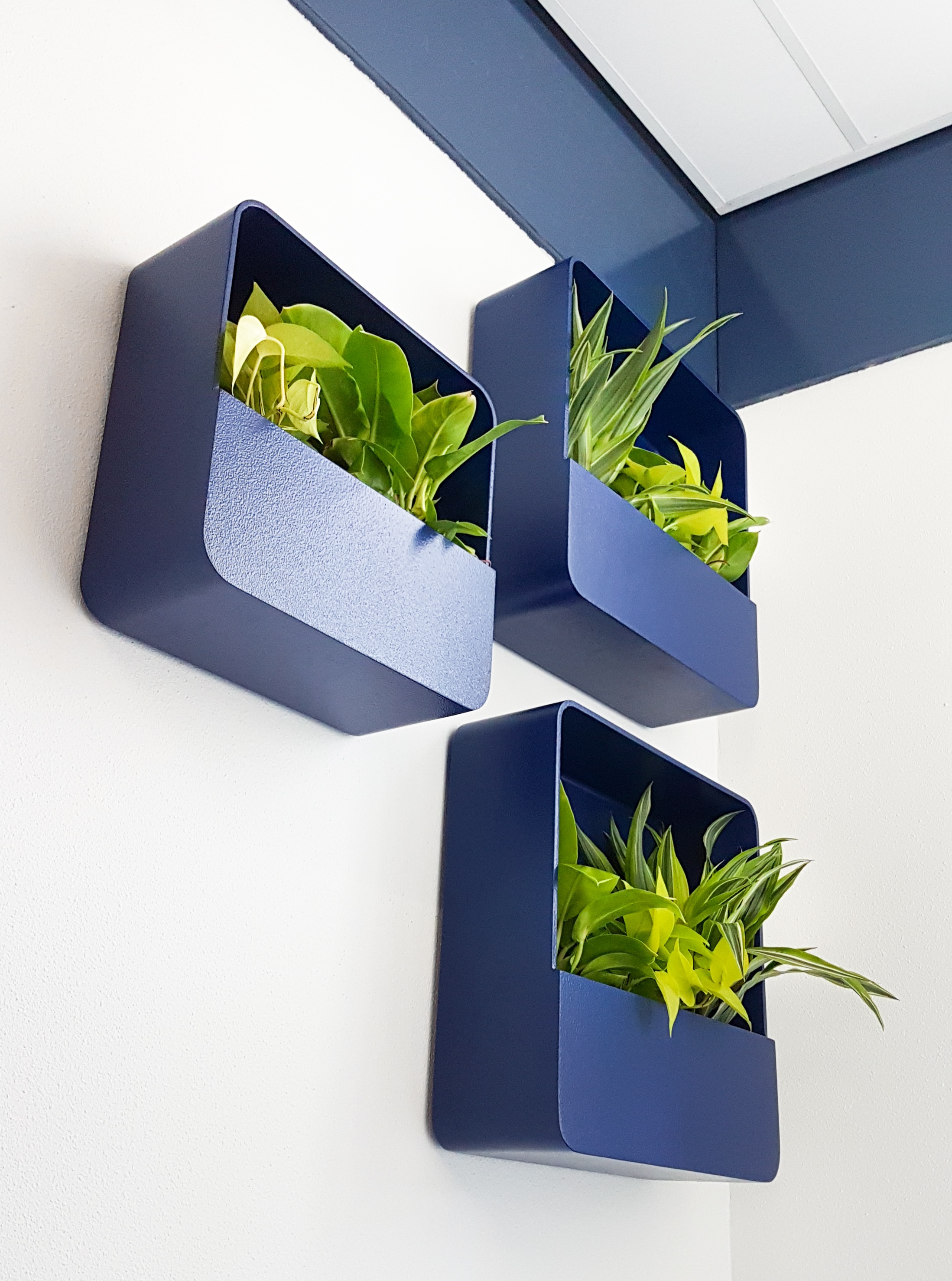 wall planter vierkant