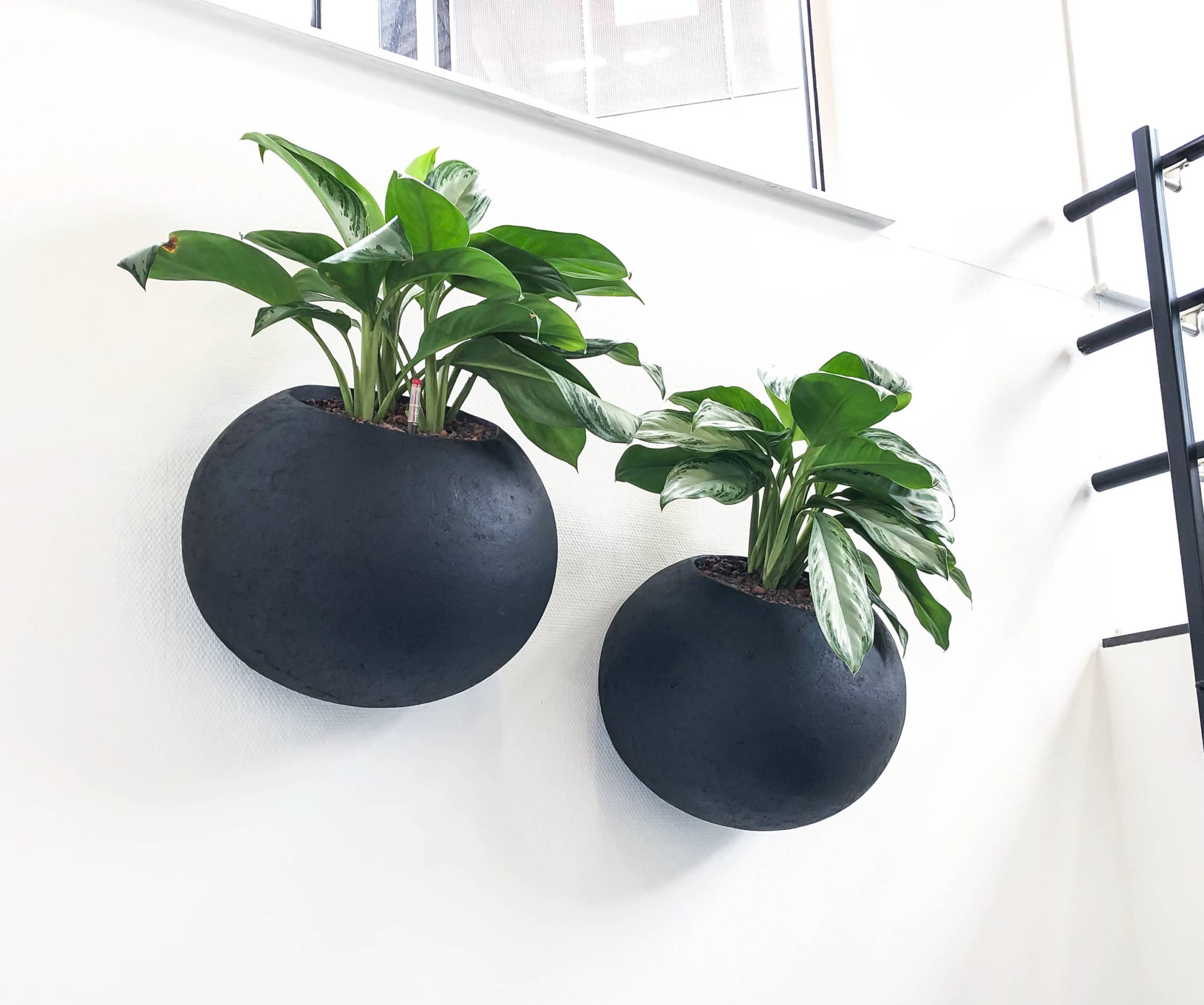 Wall planter