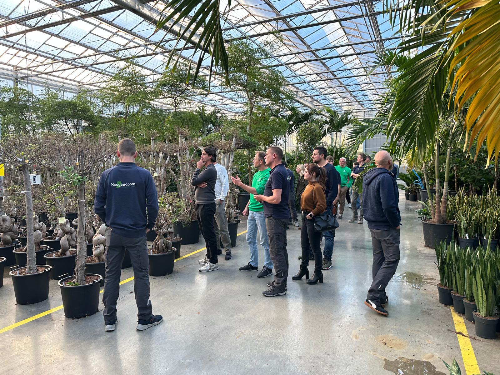 Grote planten op hydrocultuur