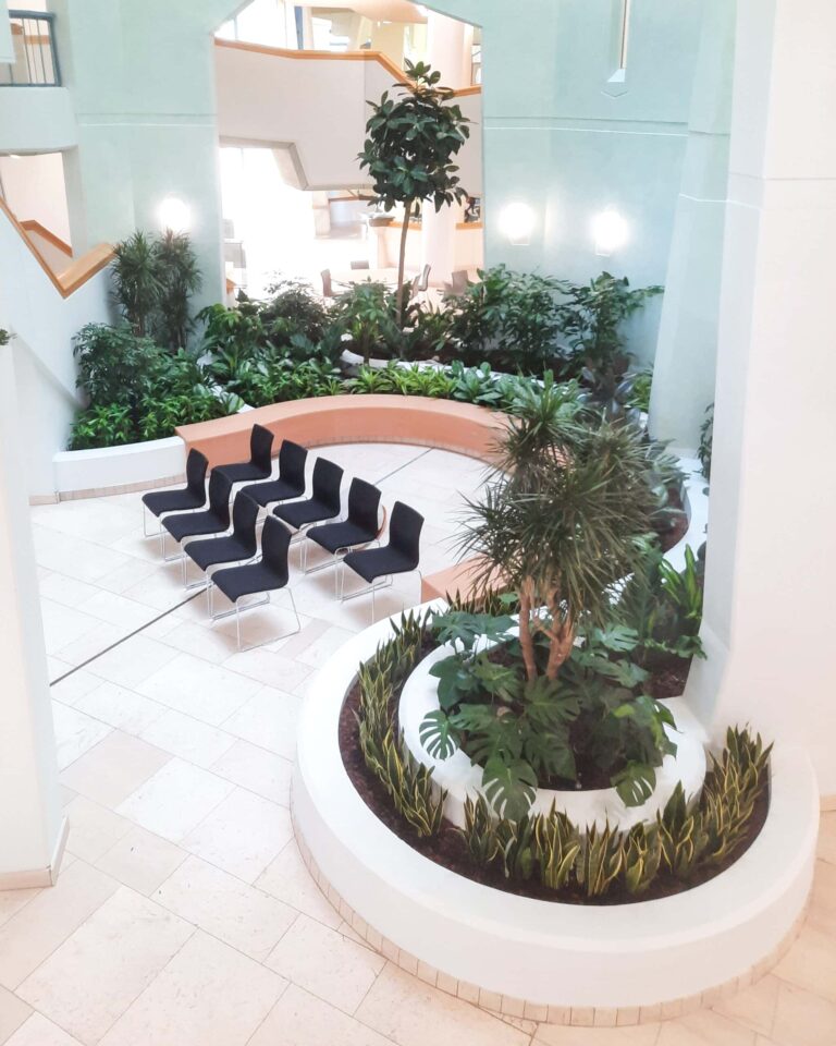 Gezonde leeromgeving groen op school en onderwijs plant decoratie