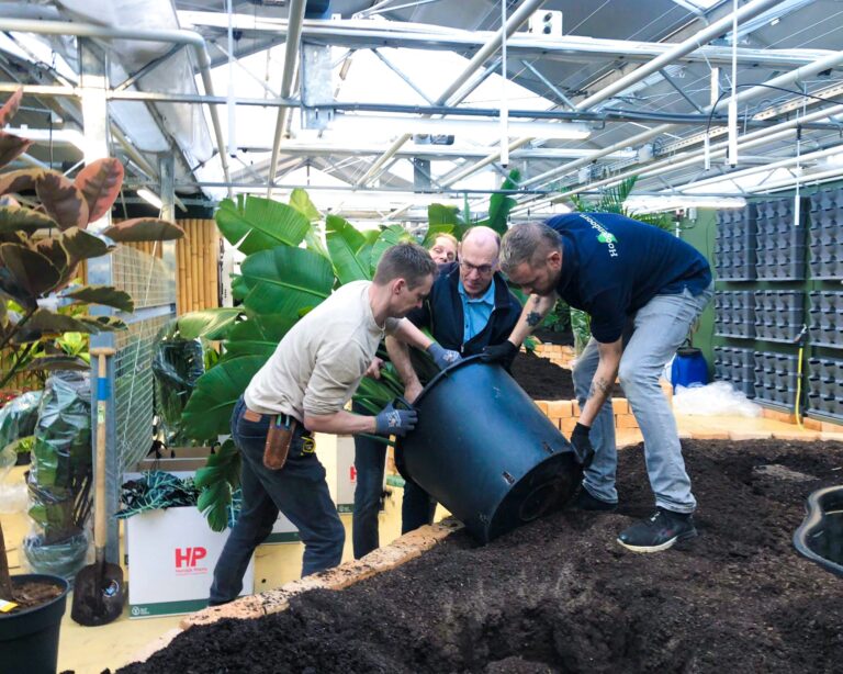 Plaatsen van de beplanting in de grote kas van de middelbare school Yuverta